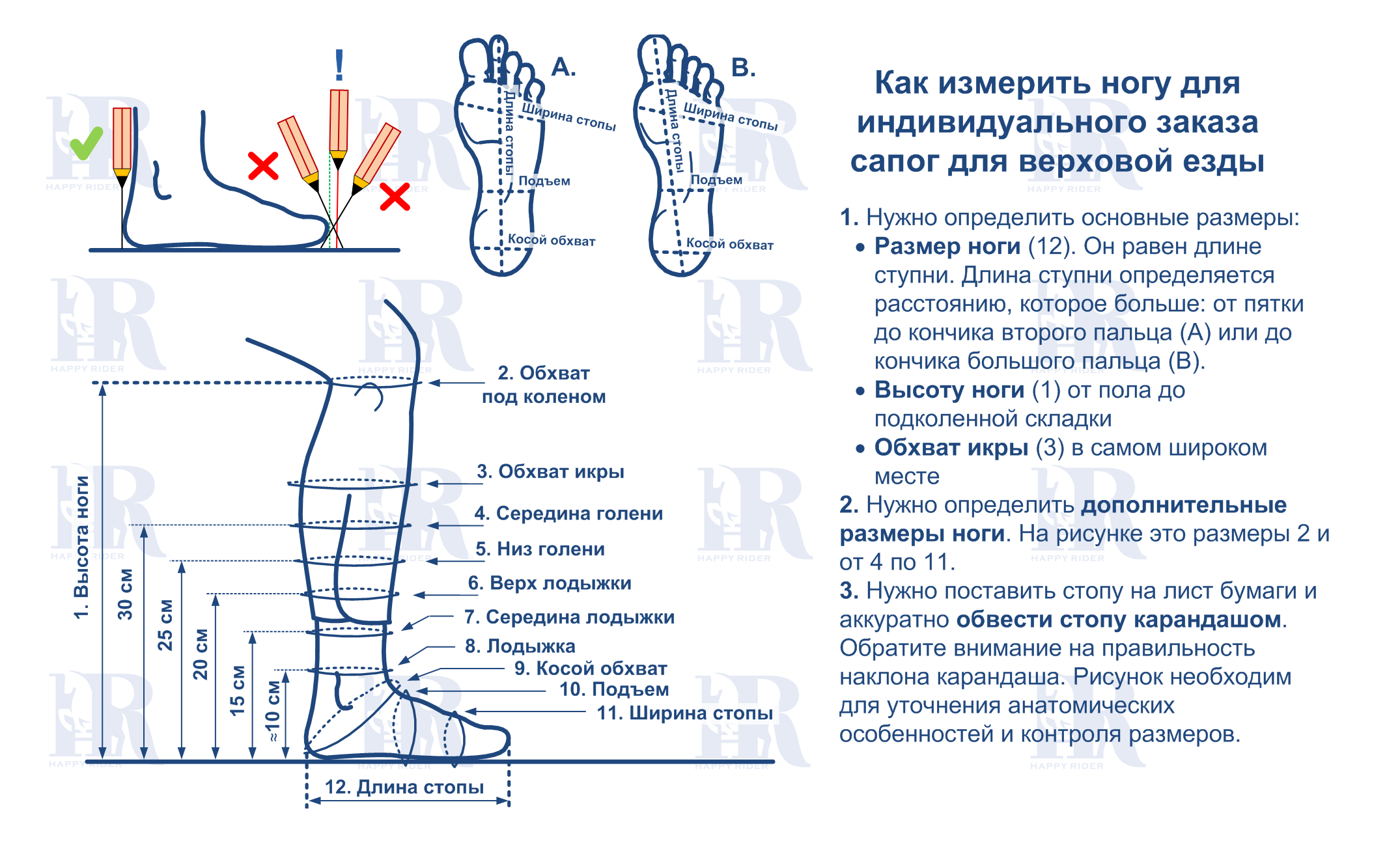 Размеры для индивидуального заказа сапог для верховой езды